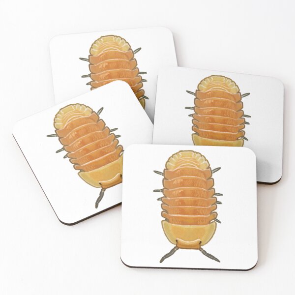 Item preview, cubaris sp. "blond rubber ducky" designed and sold by Lizurps critters.