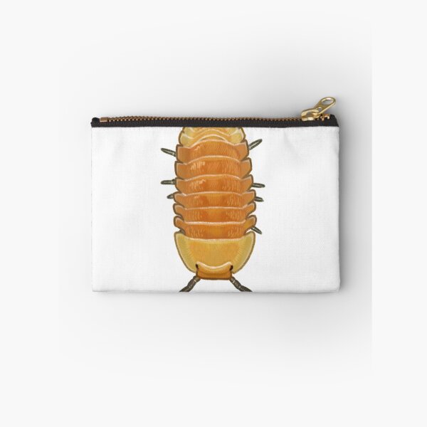 Item preview, cubaris sp. "blond rubber ducky" designed and sold by Lizurps critters.