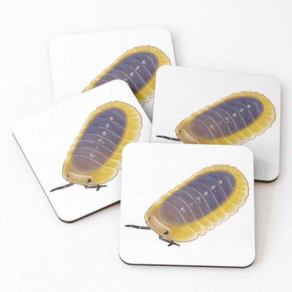 Item preview, cubaris sp. "lemon blue"  designed and sold by Lizurps critters.