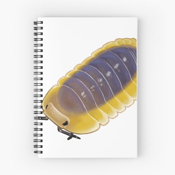 Item preview, cubaris sp. "lemon blue"  designed and sold by Lizurps critters.