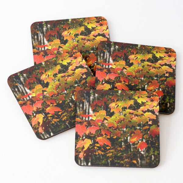 Item preview, Golden Leaves Showing Off X110 designed and sold by RichFrancoCars.