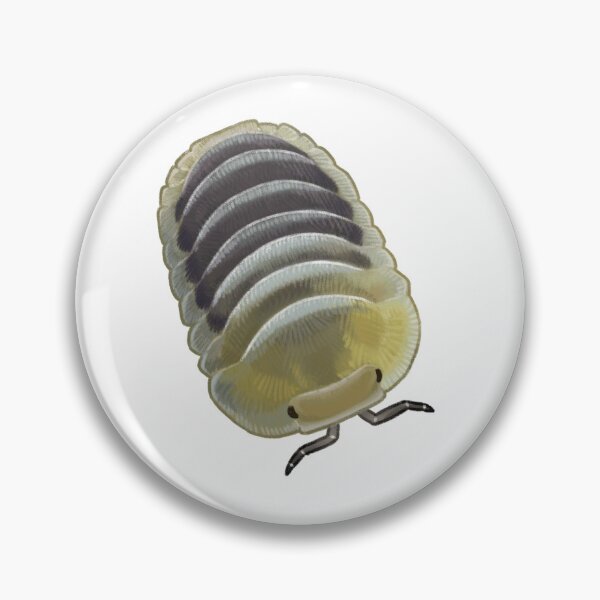Item preview, cubaris sp. "jupiter" designed and sold by Lizurps critters.