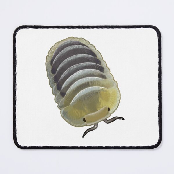 Item preview, cubaris sp. "jupiter" designed and sold by Lizurps critters.