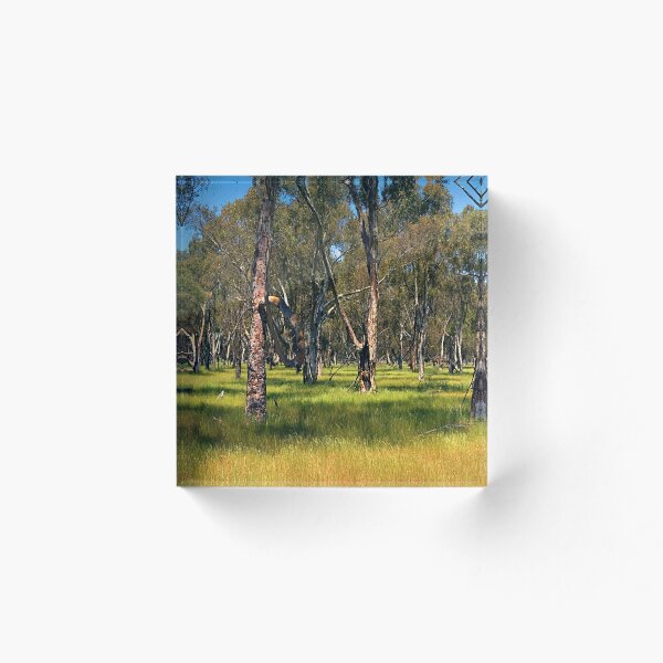 Item preview, Eucalyptus - Near Bussellton designed and sold by Paul Gilbert.
