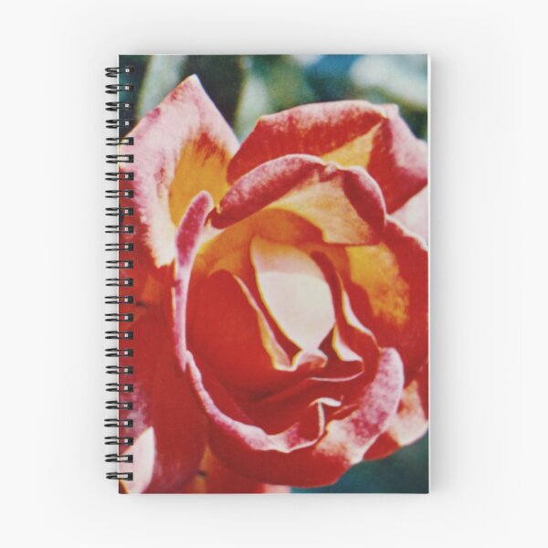 Item preview, "You can complain because roses have thorns, or you can rejoice because thorns have roses" by Jean-Baptiste Alphonse Karr. designed and sold by Valgasnews011.