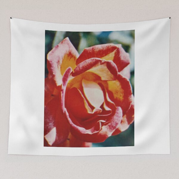 Item preview, "You can complain because roses have thorns, or you can rejoice because thorns have roses" by Jean-Baptiste Alphonse Karr. designed and sold by Valgasnews011.