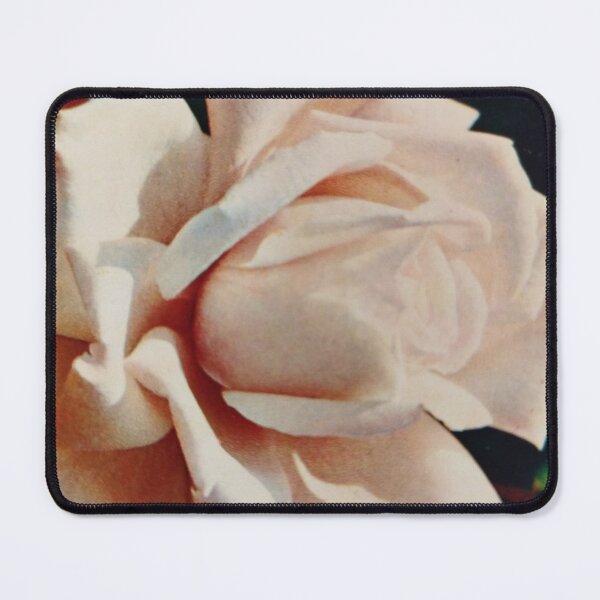 Item preview, "Truths and roses have thorns about them" by Henry David Thoreau. designed and sold by Valgasnews011.