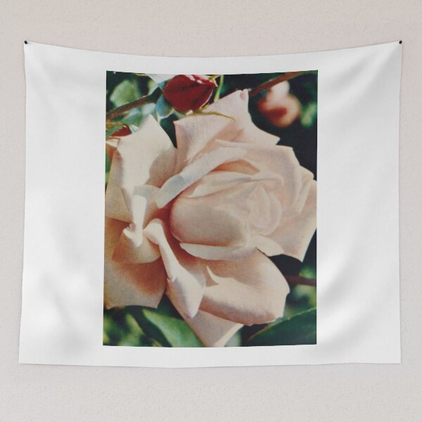 Item preview, "Truths and roses have thorns about them" by Henry David Thoreau. designed and sold by Valgasnews011.