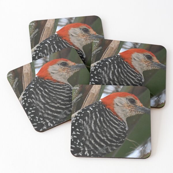 Item preview, Red Bellied Woodpecker  designed and sold by Glennphotos.