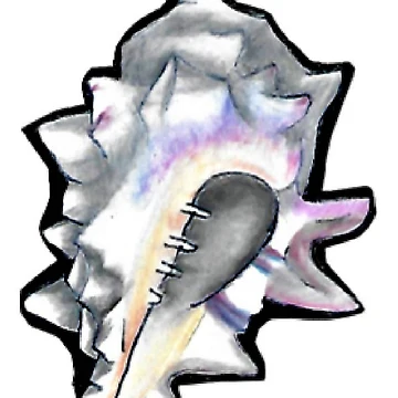Artwork thumbnail, Spike Shell by Nomadicperina