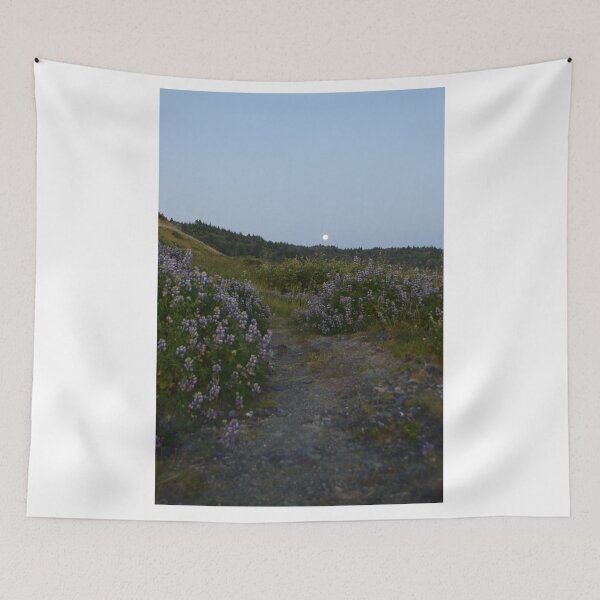 Item preview, Sisters Rock, Curry County, Oregon designed and sold by Mike Kunes.