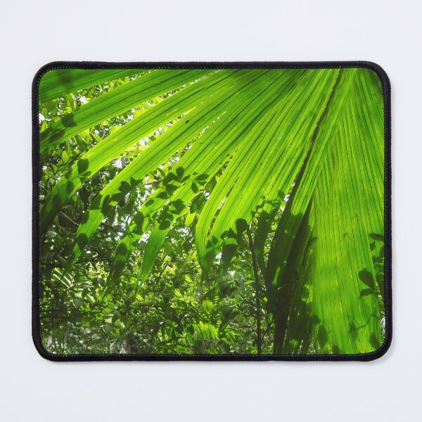 Item preview, Through the Palm Frond designed and sold by heatherfriedman.