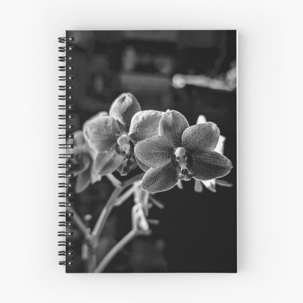 Item preview, Moody Orchids designed and sold by Emily Noyes.
