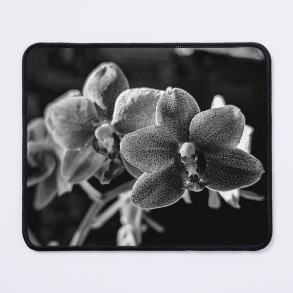 Item preview, Moody Orchids designed and sold by Emily Noyes.