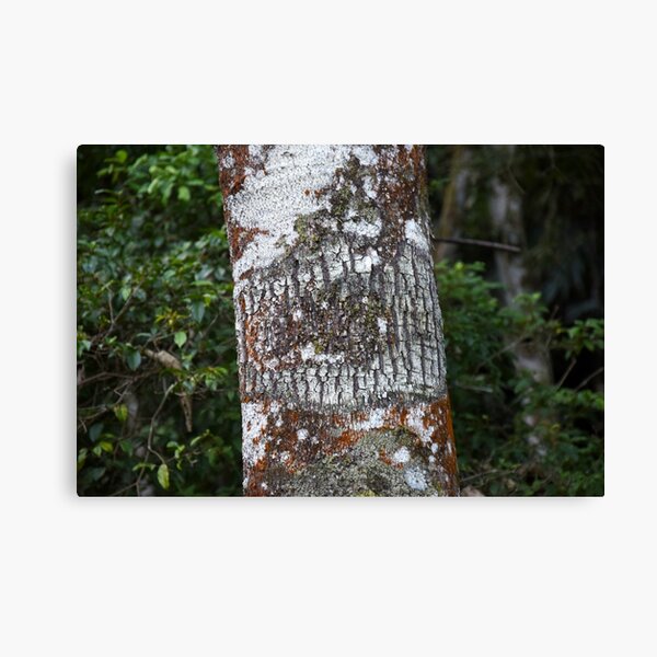 Preserve BraZil Canvas Print