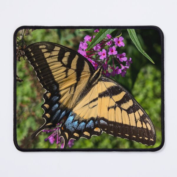 Item preview, Tiger Swallowtail designed and sold by Emily Noyes.