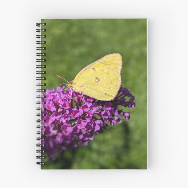 Item preview, Sulfur Butterfly designed and sold by Emily Noyes.