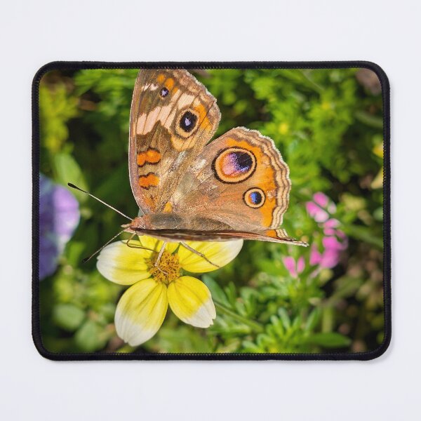 Item preview, Common Buckeye designed and sold by Emily Noyes.