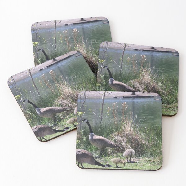 Item preview, Geese Family by Tranquil Lake designed and sold by Phakade's Photos.