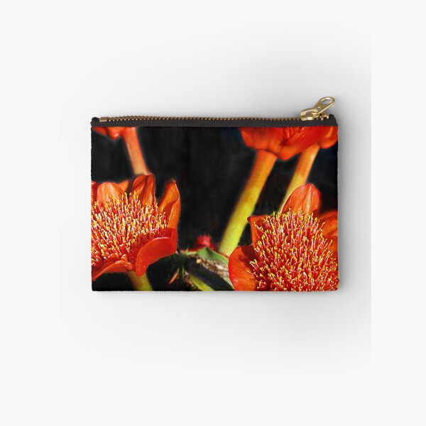 Item preview, Blood Lilies (5)  Haemanthus coccineus designed and sold by Bev Pascoe.