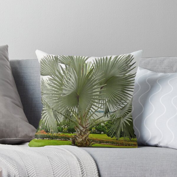 Item preview, Johor Bahru Study 12  designed and sold by Robert Meyers-Lussier.