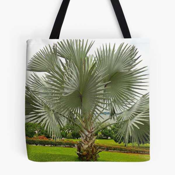 Item preview, Johor Bahru Study 12  designed and sold by Robert Meyers-Lussier.