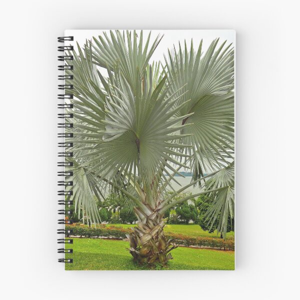 Item preview, Johor Bahru Study 12  designed and sold by Robert Meyers-Lussier.