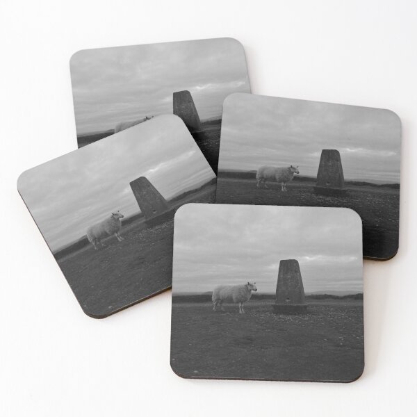 Item preview, Ewe Are Here designed and sold by One Shropshire Man and His Camera.