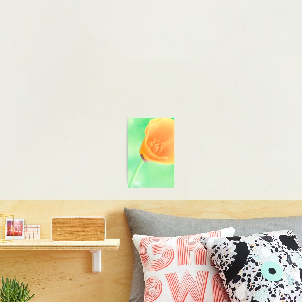 Item preview, Photographic Print designed and sold by BryanLee.