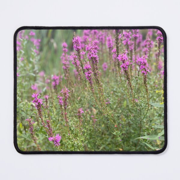 Item preview, Pink Calmness designed and sold by Lians.