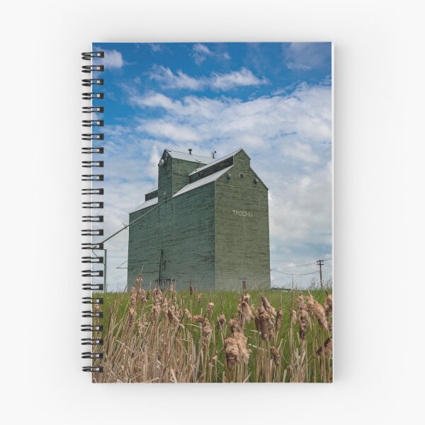 Item preview, Elevador de grano Trochu Alberta designed and sold by Traingeek Images.