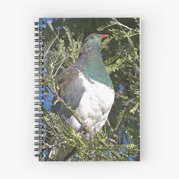 Item preview, Kereru in a Kowhai Tree.....!! designed and sold by Roy  Massicks.