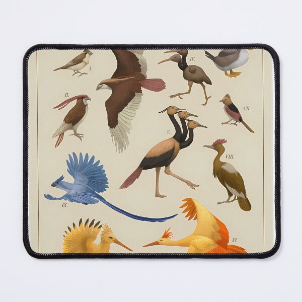 Item preview, Birds of Kanto designed and sold by SvetlanaJung.