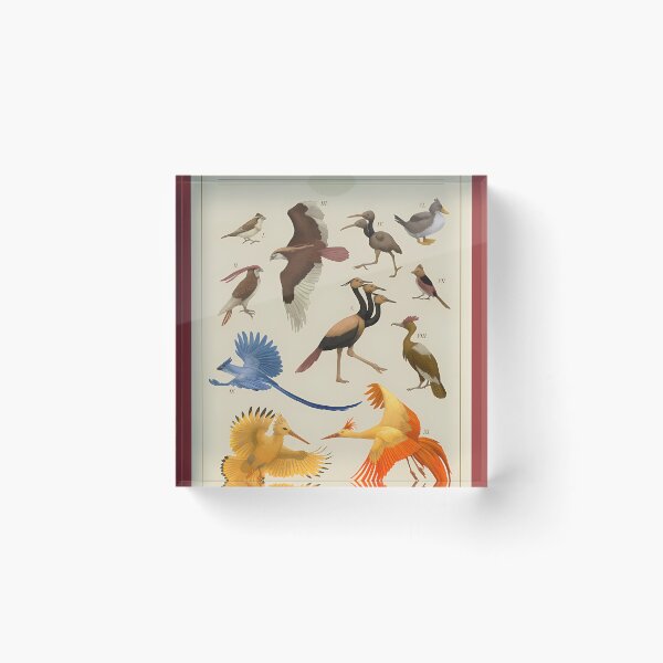 Item preview, Birds of Kanto designed and sold by SvetlanaJung.