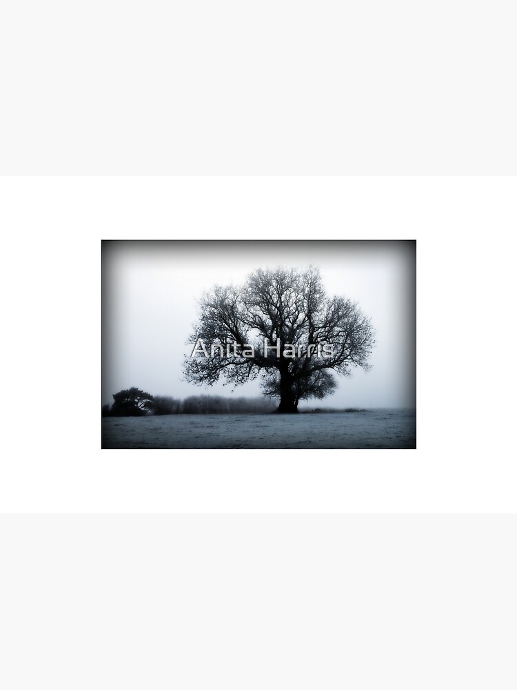 Winter Tree by plasticflower