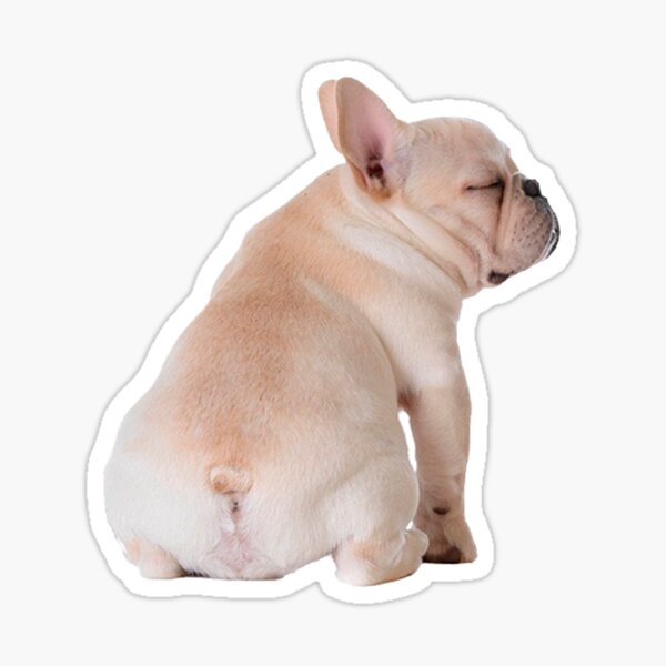 French Bulldog Sticker