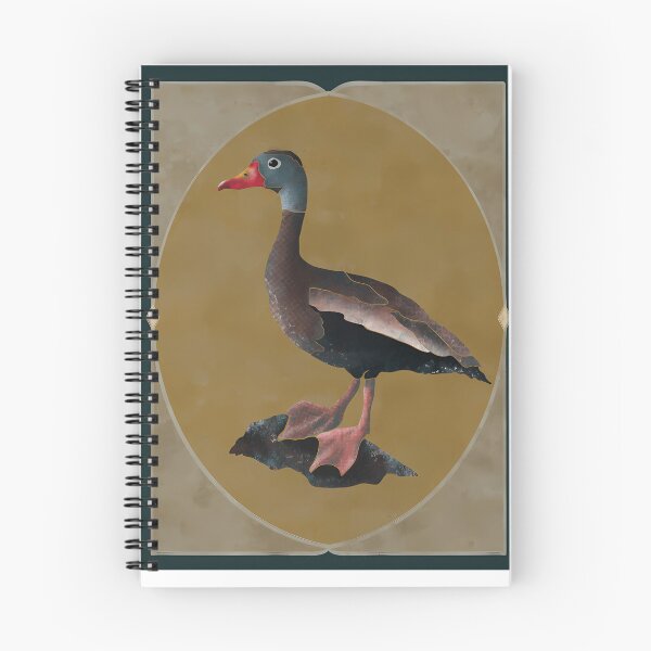 Item preview, Black-Bellied Whistling Duck Illustration designed and sold by KatrinPetersene.
