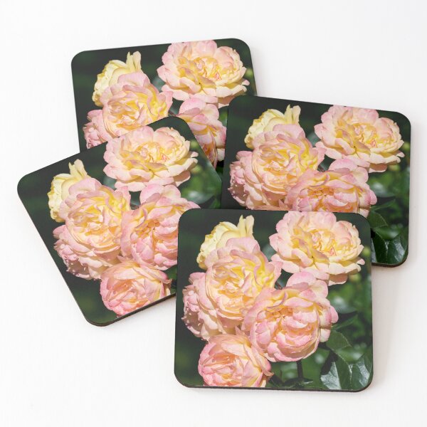 Item preview, Pinks. Roses of the late summer series numer 1 designed and sold by Jouko Lehto Photography.