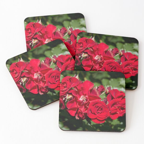 Item preview, Serious red. Roses of the late summer series numer 3 designed and sold by Jouko Lehto Photography.