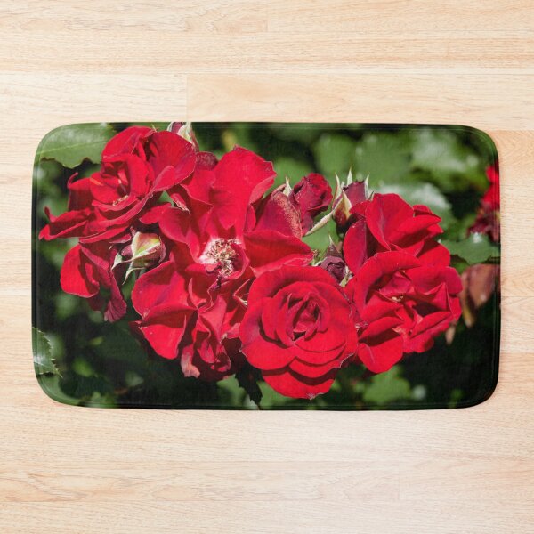 Item preview, Serious red. Roses of the late summer series numer 3 designed and sold by Jouko Lehto Photography.