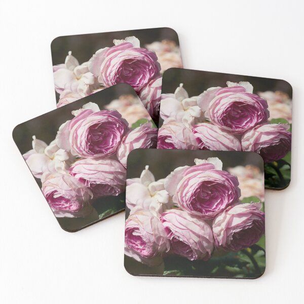 Item preview, The turn to purple. Roses of the late summer series numer 4 designed and sold by Jouko Lehto Photography.