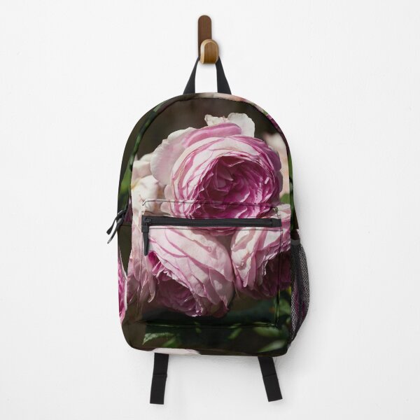 Item preview, The turn to purple. Roses of the late summer series numer 4 designed and sold by Jouko Lehto Photography.