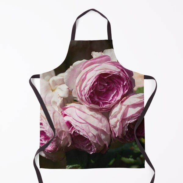 Item preview, The turn to purple. Roses of the late summer series numer 4 designed and sold by Jouko Lehto Photography.