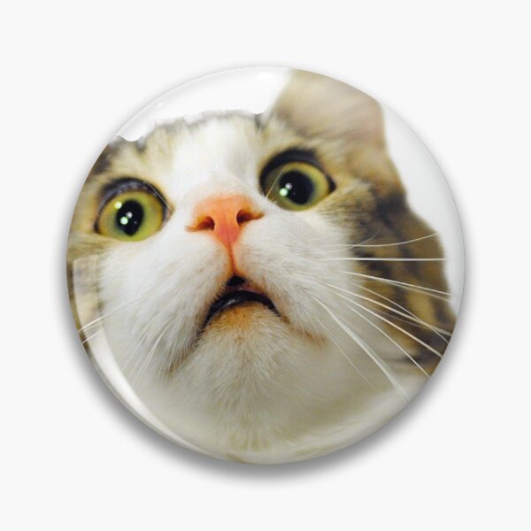 Item preview, Overly Concerned Cat designed and sold by Mildly Concerned.