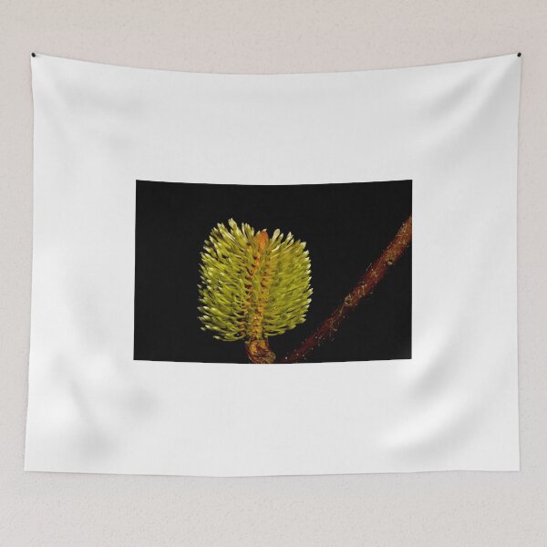 Item preview, Fresh Banksia designed and sold by GP1746.