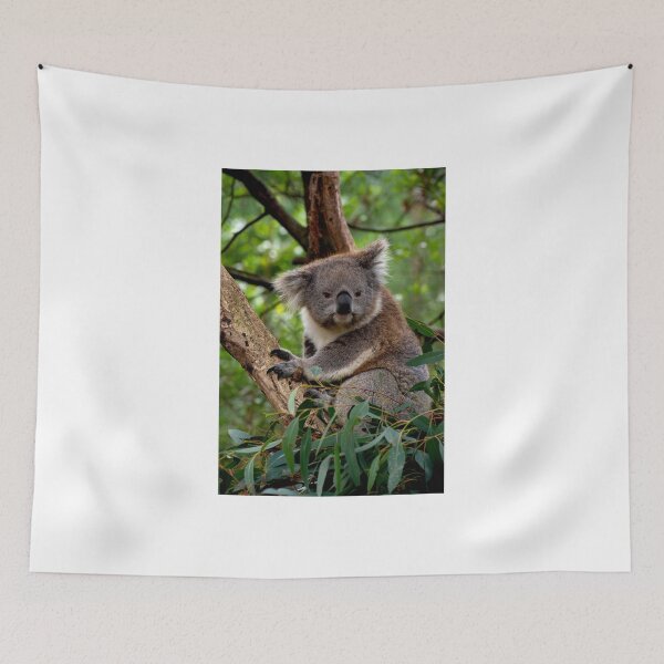 Item preview, Koala - Is This A Cute Look? designed and sold by GP1746.