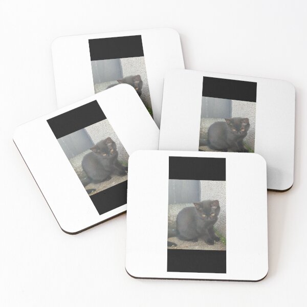 Item preview, Tierbild, Foto,Süße Bilder von eine Katze ,تصاویر بامزه از یک گربه Cute pictures of a cat designed and sold by Yaroplanner.