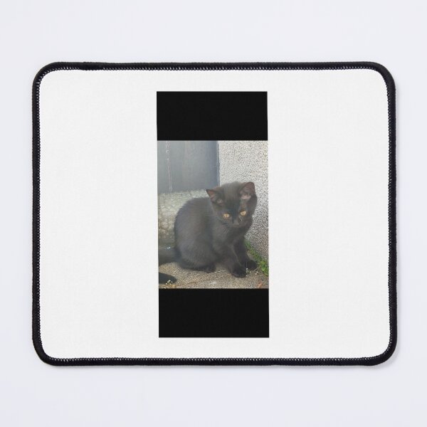 Item preview, Tierbild, Foto,Süße Bilder von eine Katze ,تصاویر بامزه از یک گربه Cute pictures of a cat designed and sold by Yaroplanner.