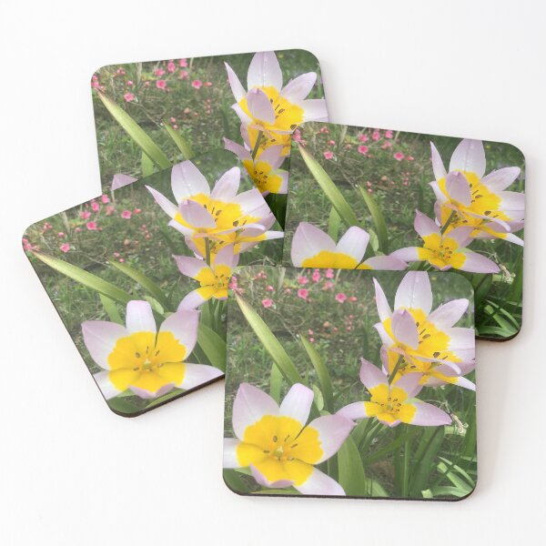 Item preview, „Gelbe Blumen im Garten – Entspannte Natur“ 	•: „Yellow Flowers in the Garden – Relaxing Nature“ designed and sold by Yaroplanner.