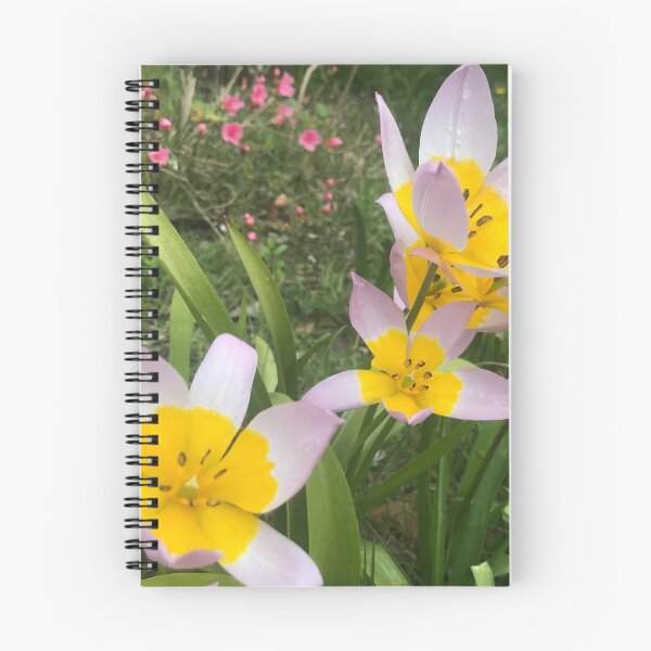 Item preview, „Gelbe Blumen im Garten – Entspannte Natur“ 	•: „Yellow Flowers in the Garden – Relaxing Nature“ designed and sold by Yaroplanner.